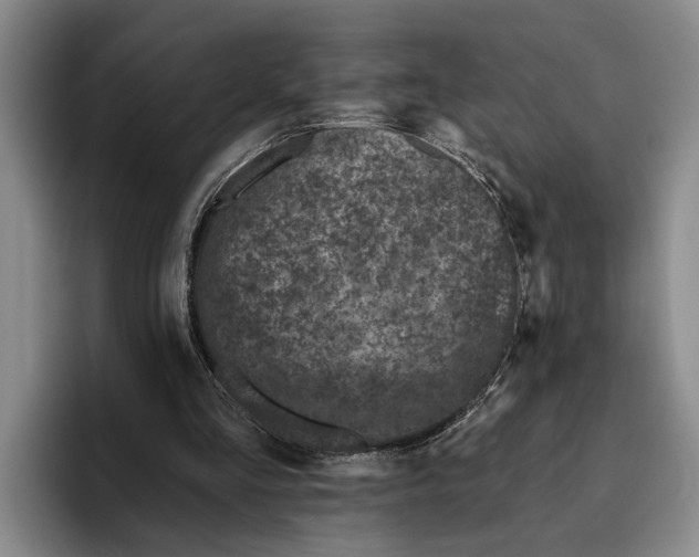 X0000096210293200802151507