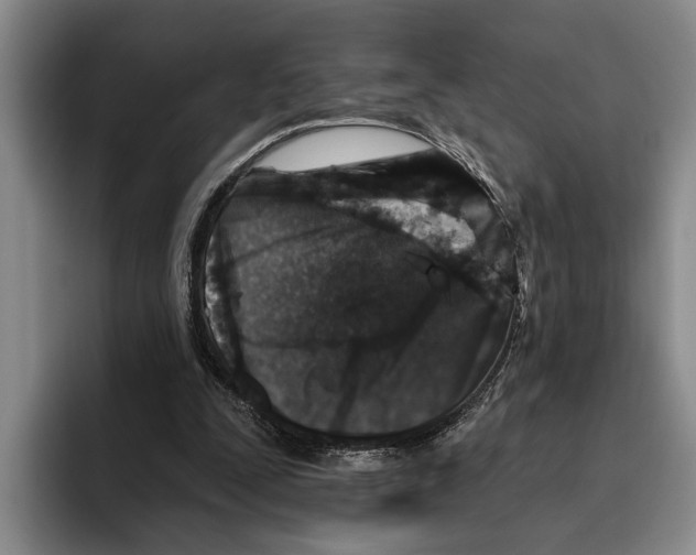 X0000096210295200802151507