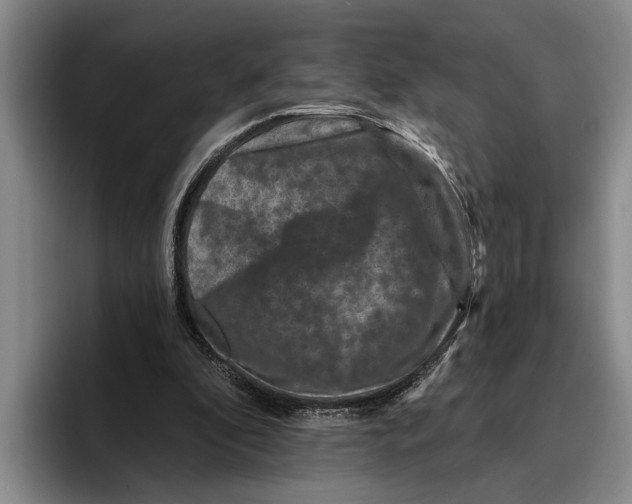 X0000096210296200802151507