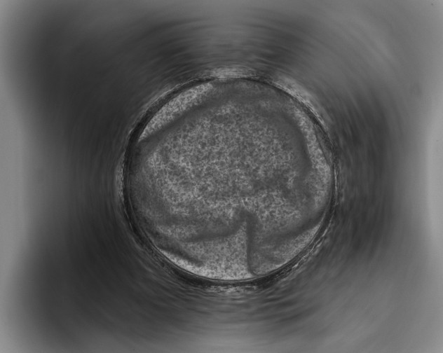 X0000096210297200802151507