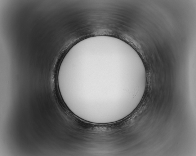 X0000096210298200802151507