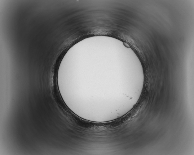 X0000096210299200802151507