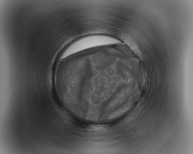X0000096210300200802151507