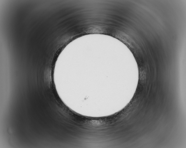 X0000096210302200802151507