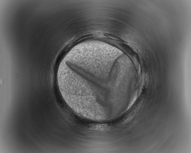 X0000096210304200802151507