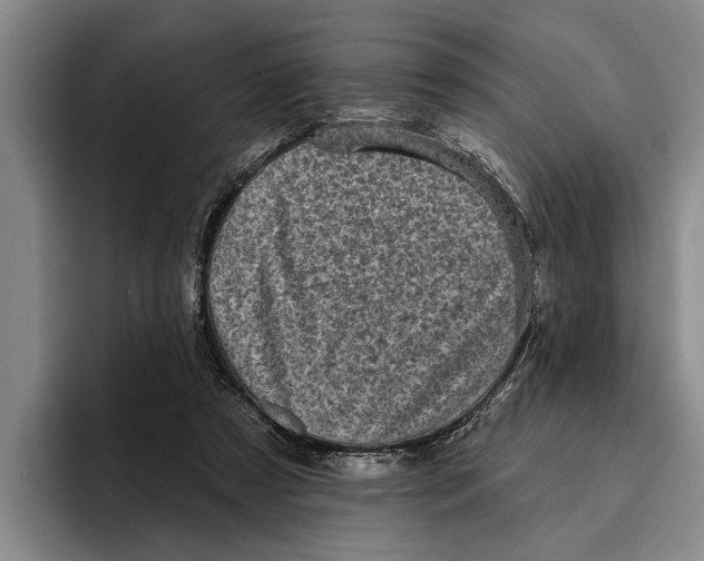 X0000096210305200802151507