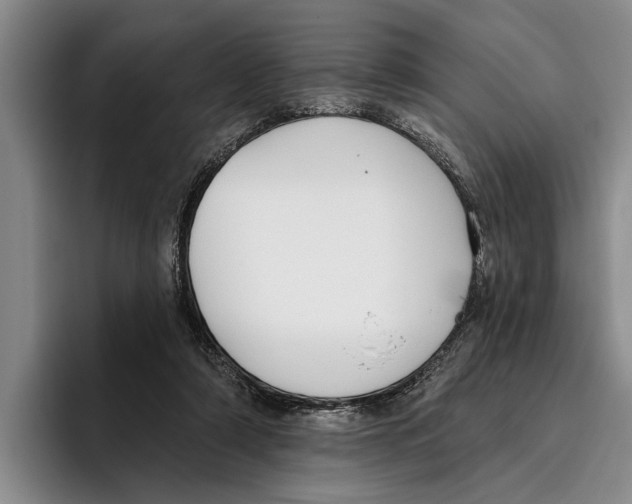 X0000096210306200802151507