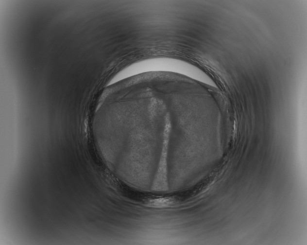 X0000096210312200802151507