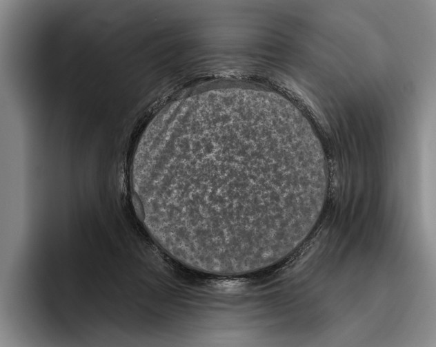 X0000096210313200802151507