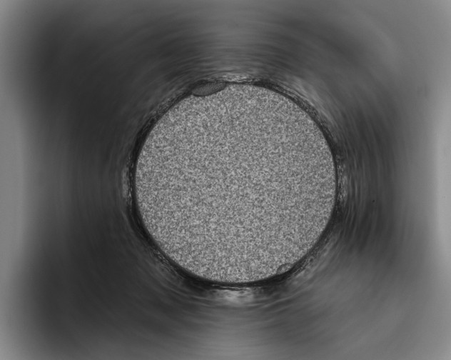 X0000096210317200802151507