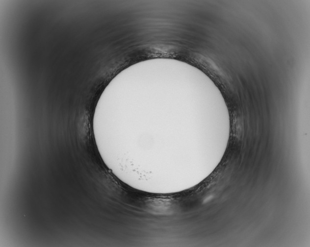 X0000096210318200802151507