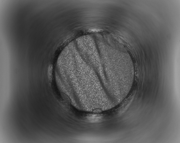 X0000096210319200802151507