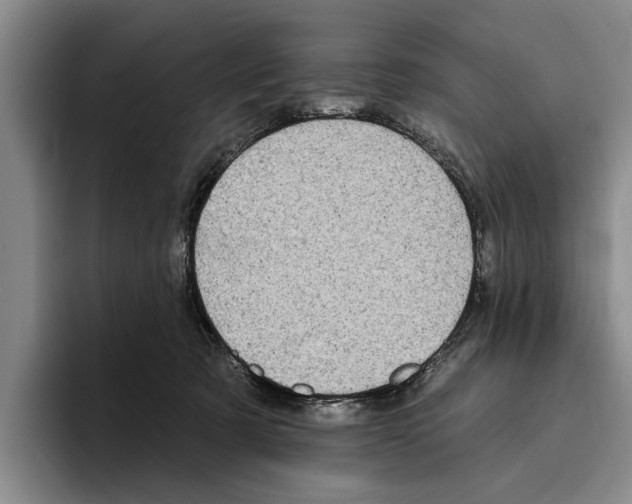 X0000096210321200802151507
