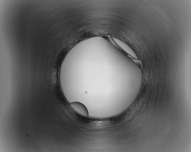 X0000096210323200802151507