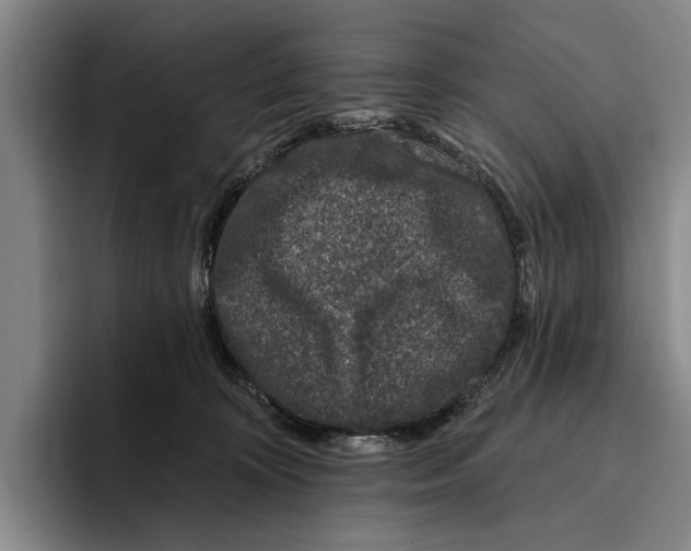 X0000096210324200802151507