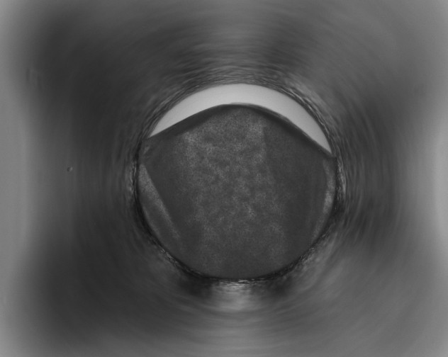 X0000096210325200802151507