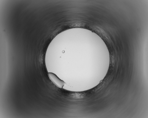 X0000096210326200802151507