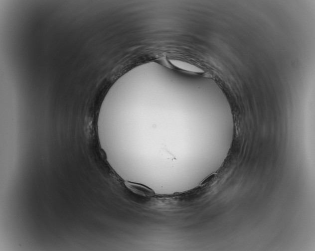 X0000096210327200802151507