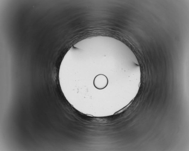 X0000096210328200802151507
