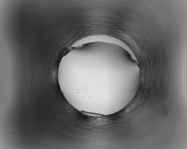 X0000096210329200802151507