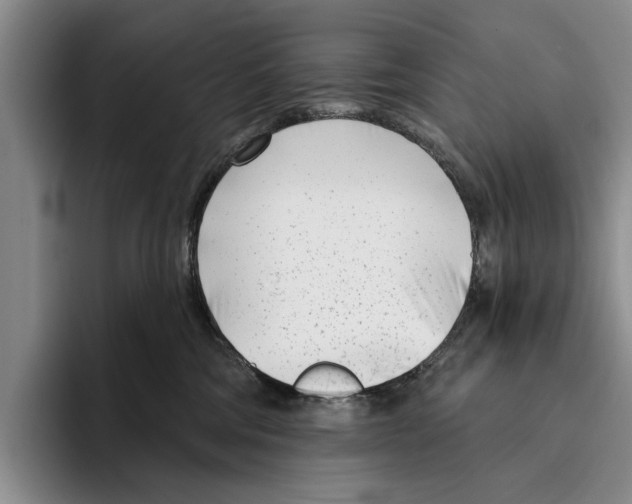 X0000096210330200802151507