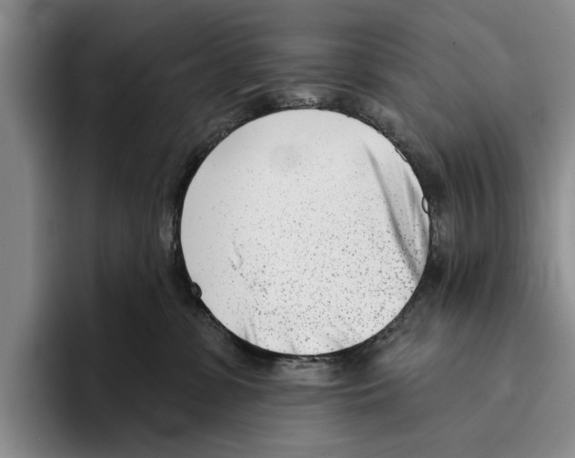 X0000096210331200802151507