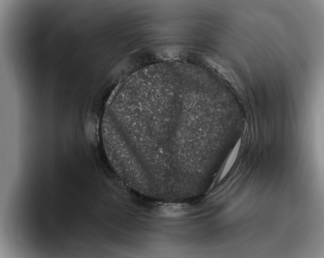 X0000096210332200802151507