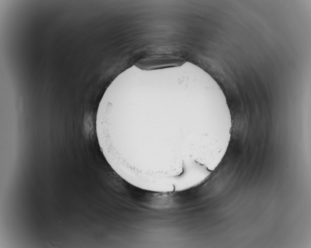 X0000096210335200802151507