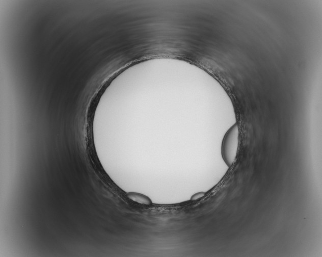 X0000096210338200802151506