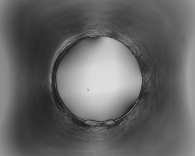 X0000096210340200802151506