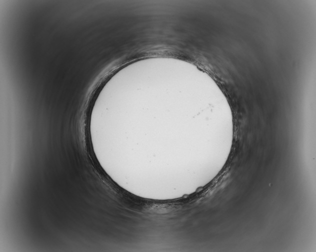 X0000096210341200802151506