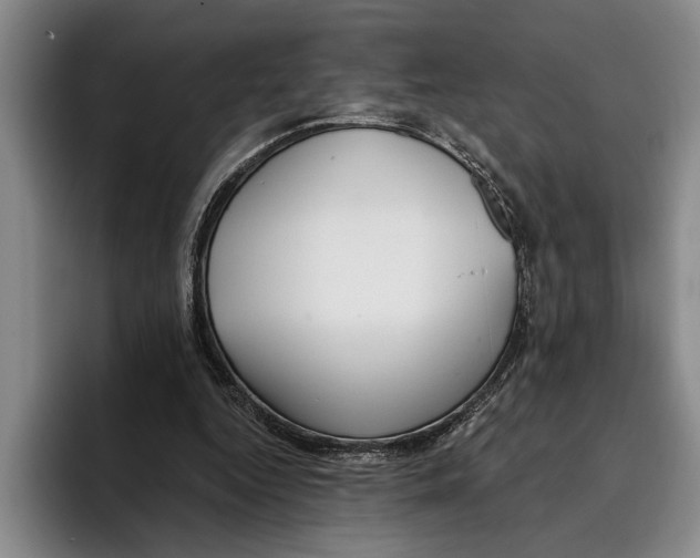 X0000096210344200802151506