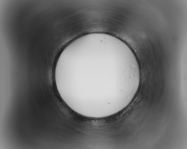 X0000096210345200802151506