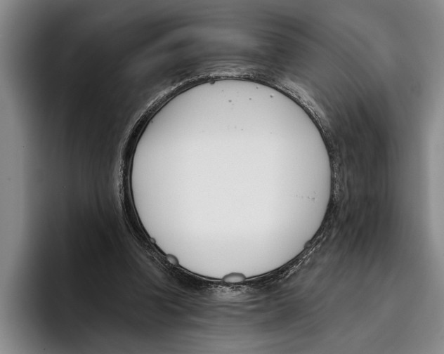 X0000096210346200802151506
