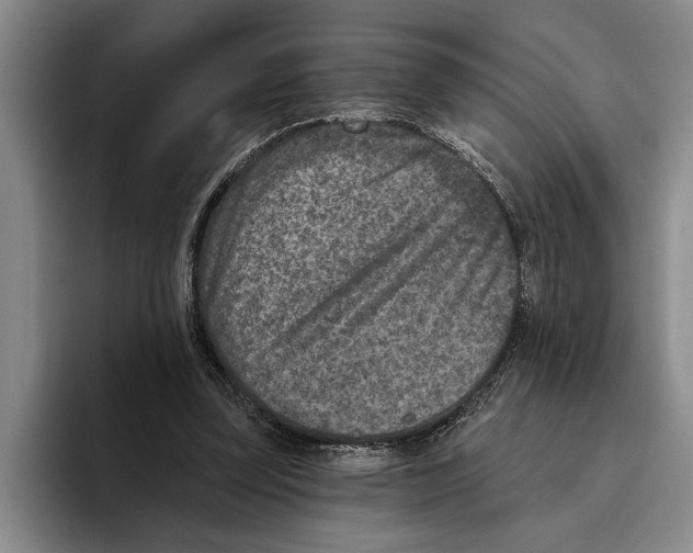 X0000096210347200802151506