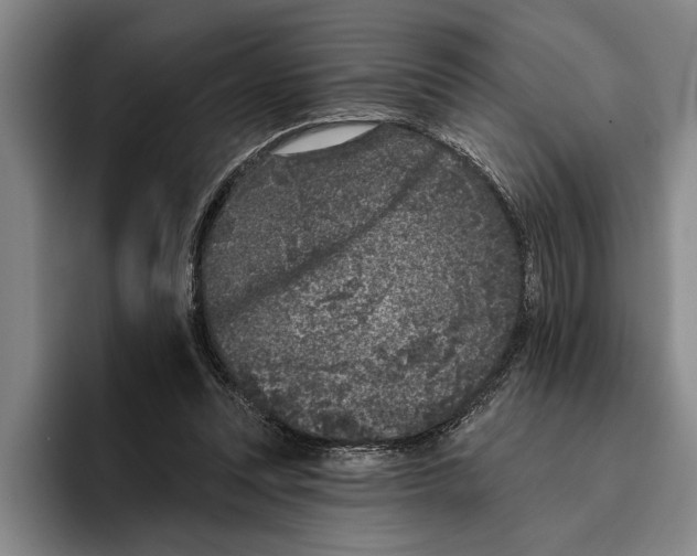 X0000096210351200802151506