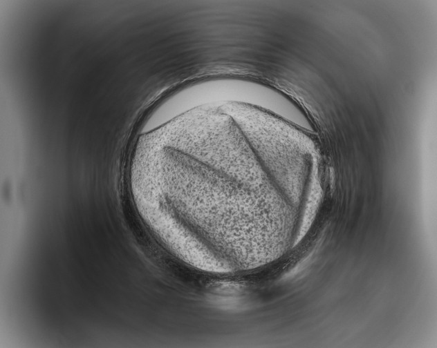 X0000096210352200802151506