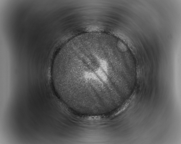 X0000096210353200802151506