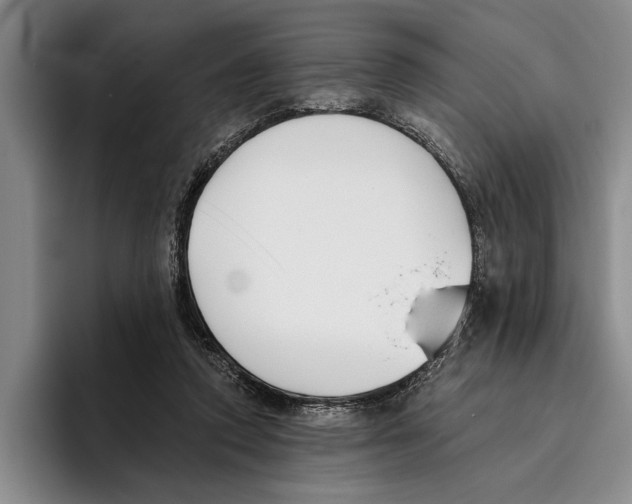 X0000096210354200802151506