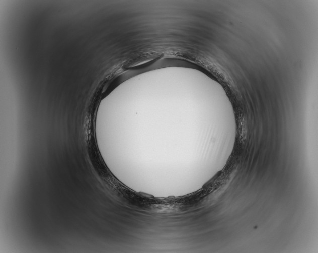 X0000096210356200802151506