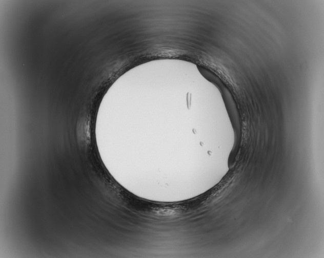 X0000096210358200802151507