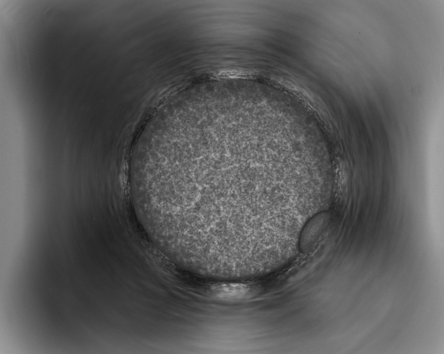 X0000096210361200802151507