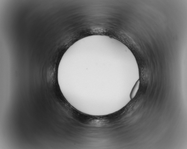 X0000096210364200802151507
