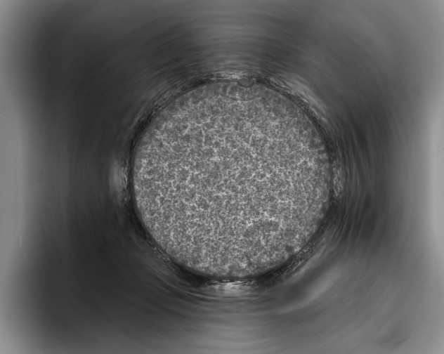 X0000096210365200802151507