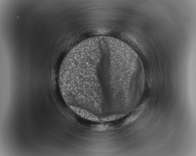 X0000096210366200802151507