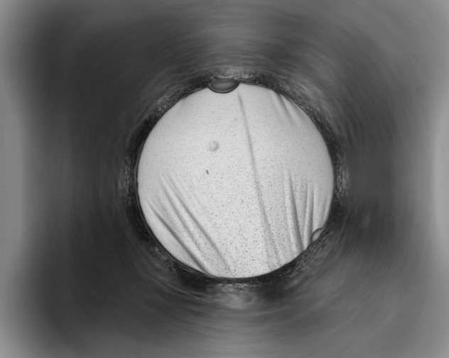 X0000096210367200802151507