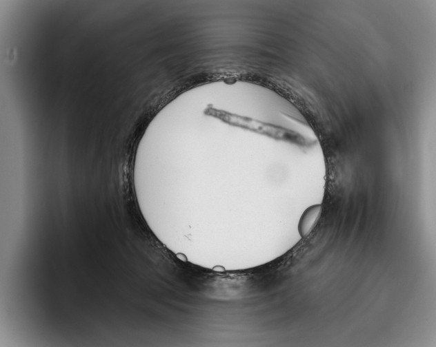 X0000096210369200802151507