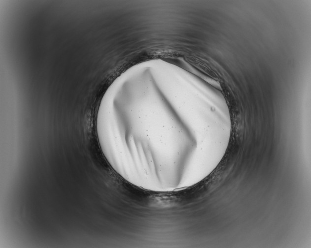 X0000096210372200802151507