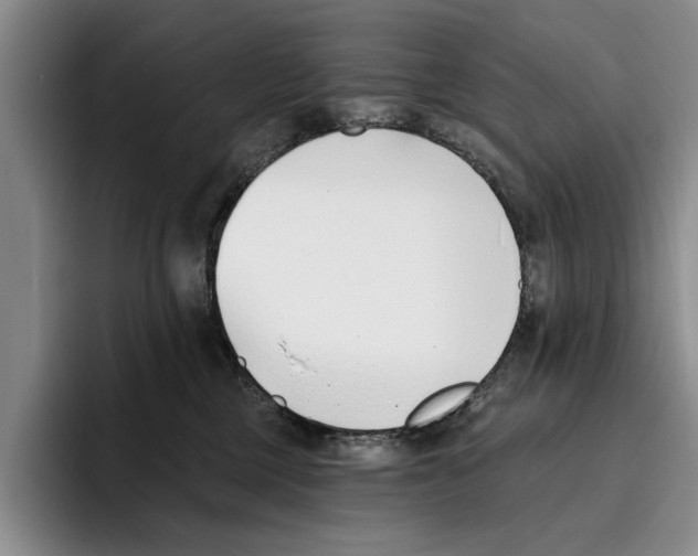 X0000096210377200802151507