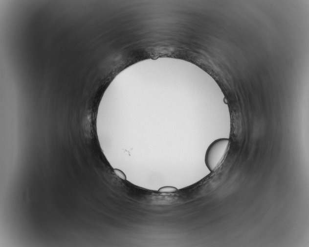 X0000096210378200802151507